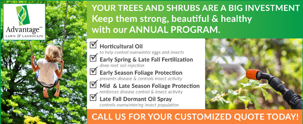 Annual Tree Program